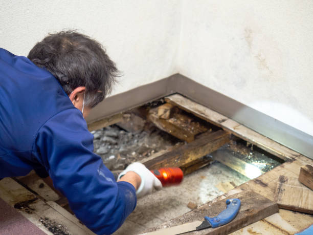 Crawl Space Mold Removal in Herlong, CA