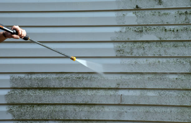 Best Attic Mold Removal  in Herlong, CA