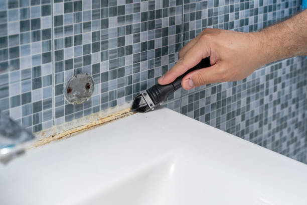Best Fast Mold Removal  in Herlong, CA