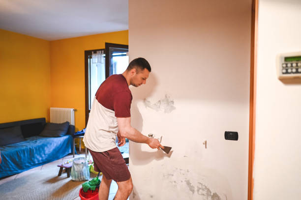 Best Crawl Space Mold Removal  in Herlong, CA