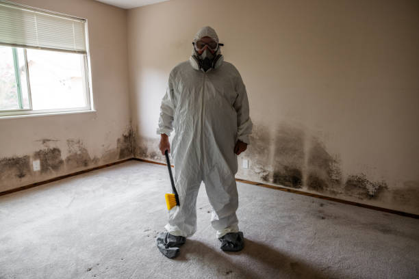 Best Mold Cleaning Services  in Herlong, CA